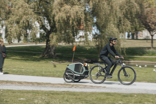 Przyczepka rowerowa dla psa - Thule Bexey M do 35 kg - Haze green