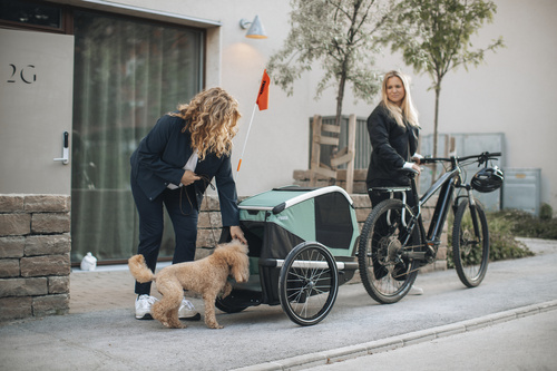 Przyczepka rowerowa dla psa - Thule Bexey M do 35 kg - Haze green