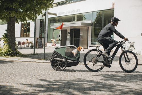 Przyczepka rowerowa dla psa - Thule Bexey M do 35 kg - Haze green
