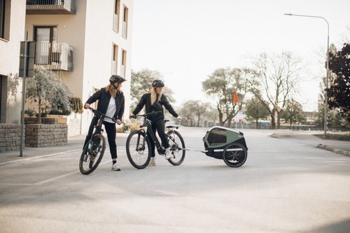 Przyczepka rowerowa dla psa - Thule Bexey M do 35 kg - Haze green