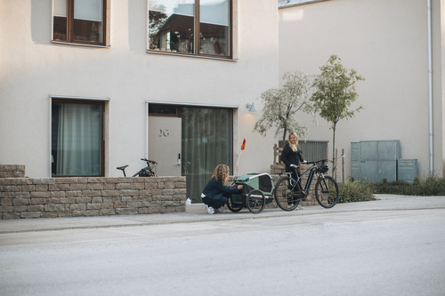 Przyczepka rowerowa dla psa - Thule Bexey M do 35 kg - Haze green