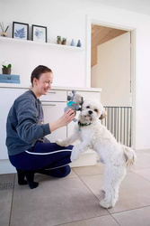 DogSpace - Lucky - przykręcana bramka dla psa, czarna (62.5-106cm)